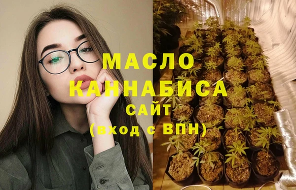 стаф Гатчина