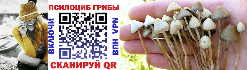 цены наркотик  Зея  Галлюциногенные грибы мухоморы 