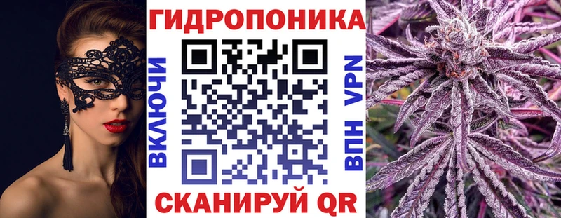 Бошки марихуана конопля  где купить наркоту  Зея 